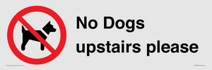 No Dogs upstairs please 